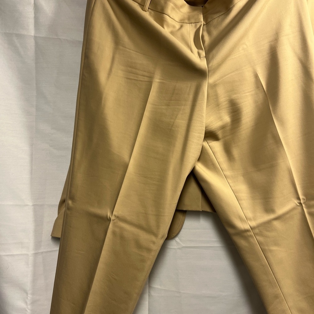 Lane Bryant Classic Beige Suit - Picture 4 of 7